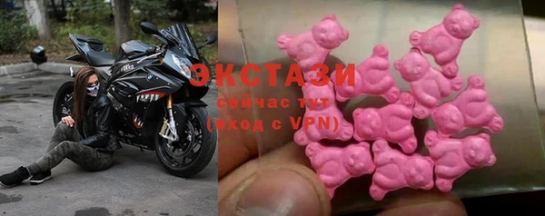гашик Новозыбков