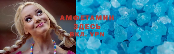 гашик Новозыбков
