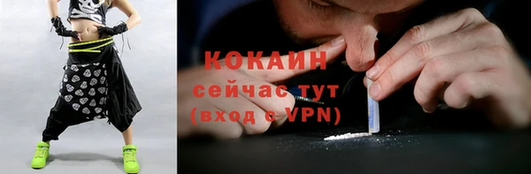 гашик Новозыбков