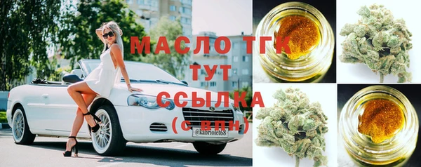ешки Новодвинск