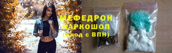 гашик Новозыбков
