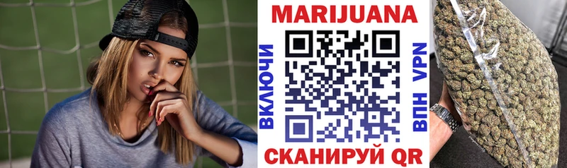 Бошки Шишки план  Сосновоборск 